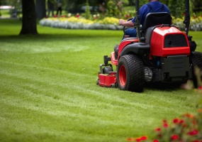 Lawn Mowing Supplies business for sale Gold Coast